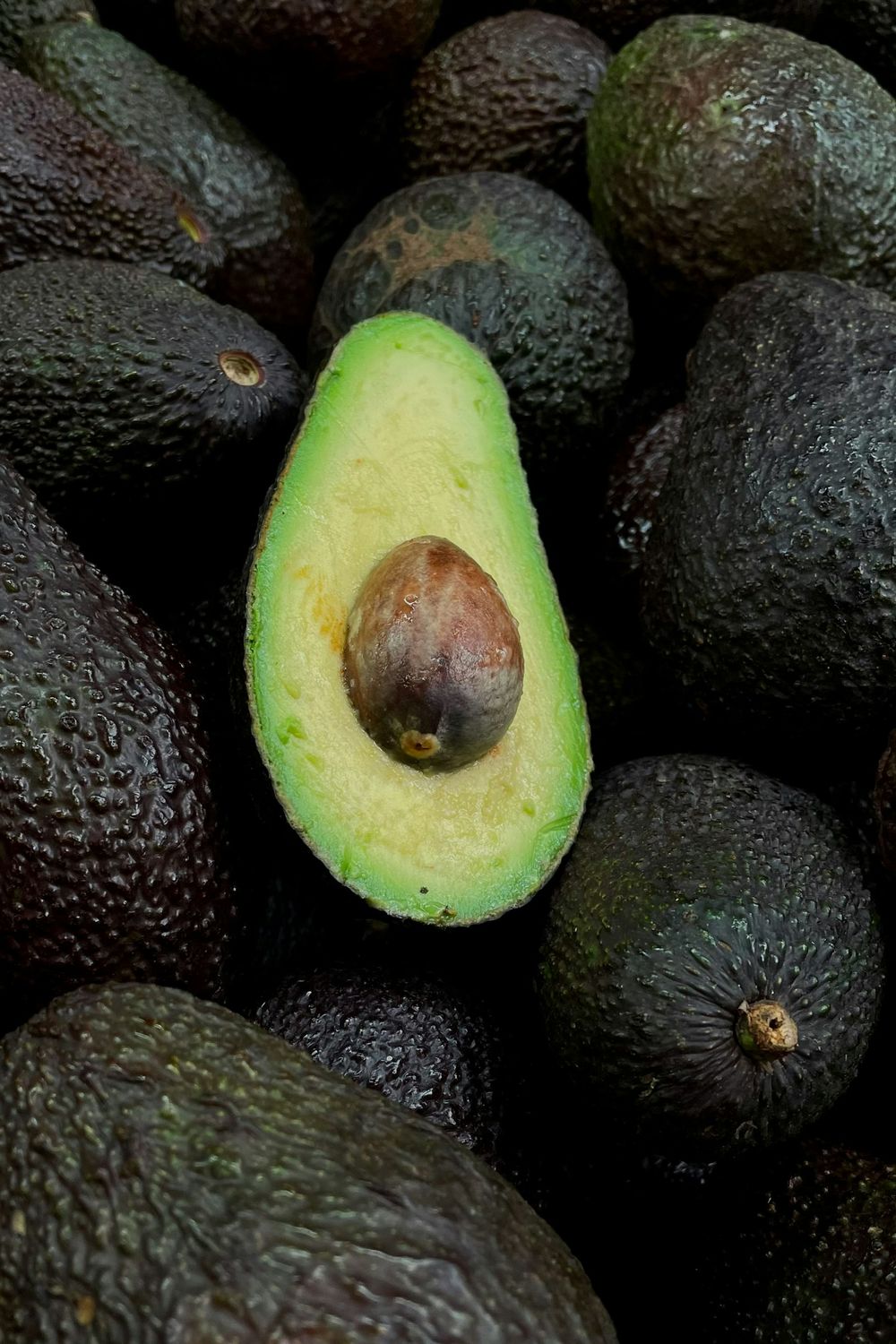 Aguacate Lamb Hass